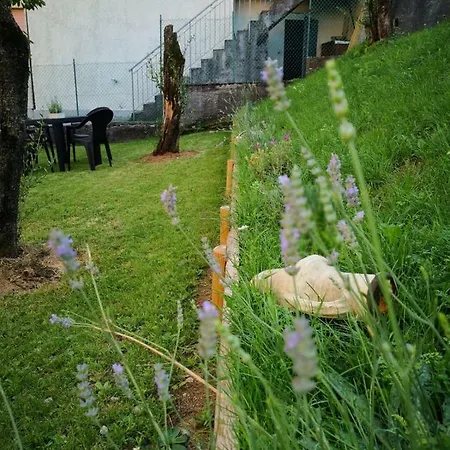 Apartment Casa Miramonti